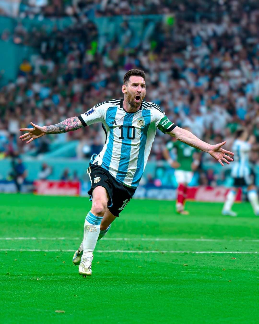 保持最佳状 保持最佳状